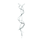 FUWA FUWA elasticity-membrane/ελαστικότητα-μεμβράνη